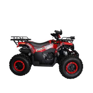 CUADRON FACTORY BIKE BIGBEAR 200CC