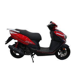 PASOLA SHINERAY CT-MAX 175CC
