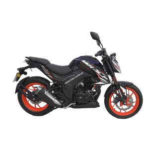 MOTO DAYTONA DY250 WOLF 250CC