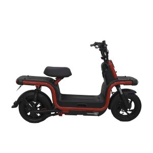 PASOLA AIMA S1 800W BOSCH