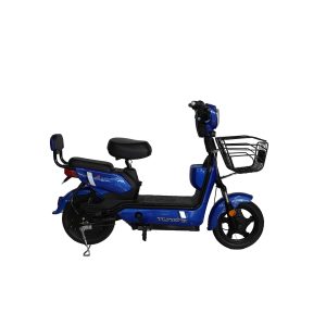 PASOLA ELECTRICA TUNDRA VOLT-X 500W