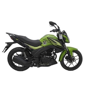 MOTO ZONGSHEN ZS150-46