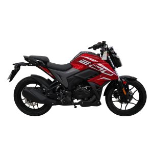 MOTO ZONGSHEN ZS150T-48 ZT6 200CC
