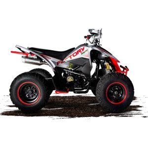 CUADRON FACTORY BIKE COBRA KAI 250 PLATEADO 250CC