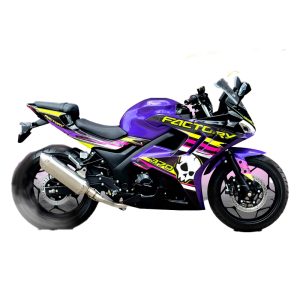 MOTO FACTORY BIKE PATA NEGRA MORADO 370CC